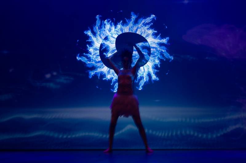 LA LEGENDE DU LION : Une histoire dans laquelle le roi des animaux est le héros...