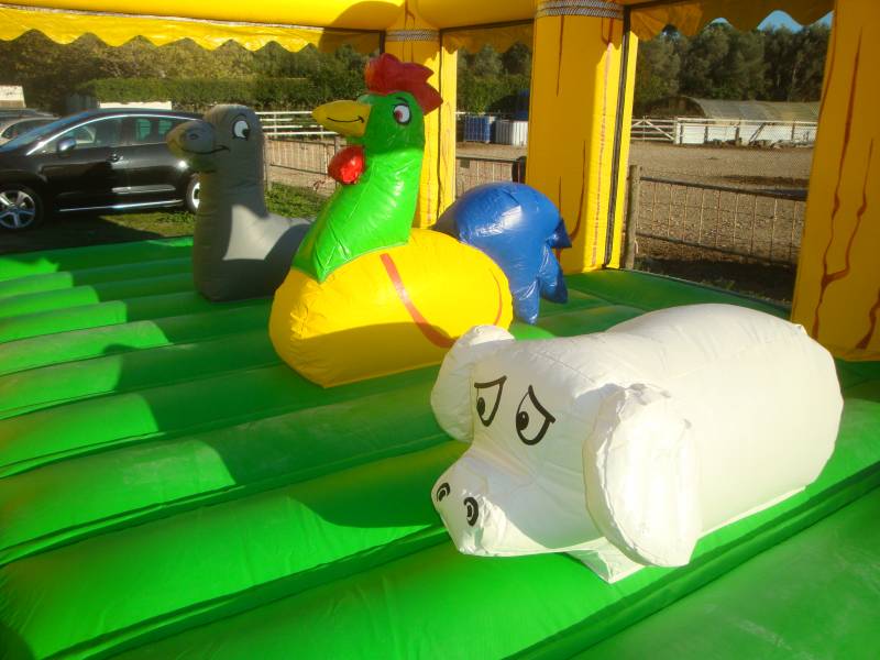 animation enfant gonflable rousset peynier