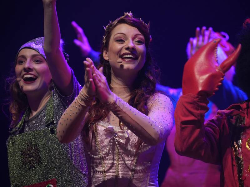 LE FABULEUX ANNIVERSAIRE DU PERE NOEL