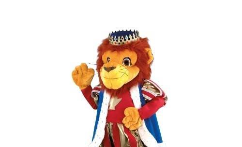 peluche du roi lion sur aix en provence