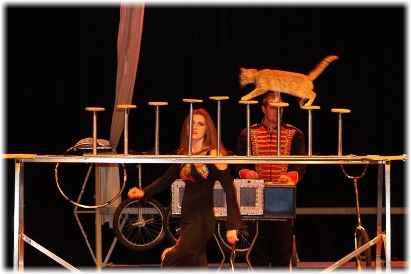 CIRCUS PARADE : un cirque traditionnel pour votre Arbre de Noël