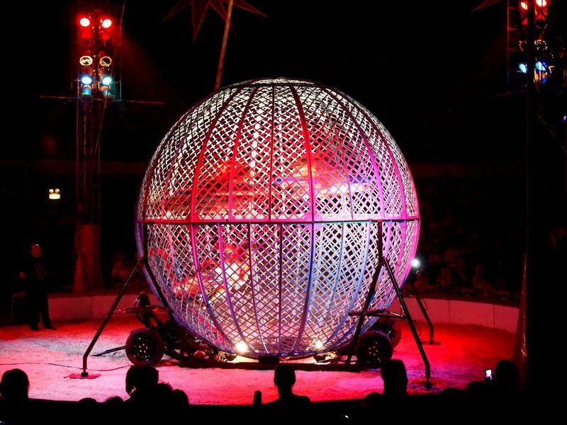 Organisation d'arbre de noël clé en main à Marseille