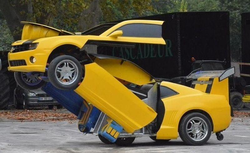 trouver un arbre de noël à Marseille