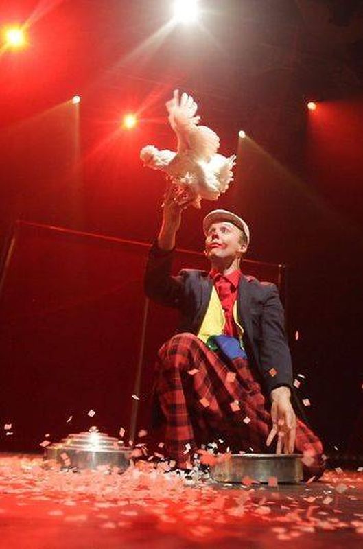 Spectacle de magie avec oiseaux à Fos sur Mer